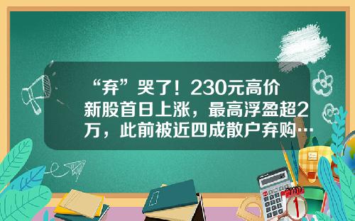 “弃”哭了！230元高价新股首日上涨，最高浮盈超2万，此前被近四成散户弃购…宁王、招行股价回暖-宏润建设非公开发行价多少