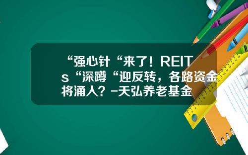 “强心针“来了！REITs“深蹲“迎反转，各路资金将涌入？-天弘养老基金