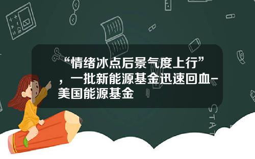 “情绪冰点后景气度上行”，一批新能源基金迅速回血-美国能源基金