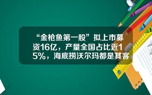 “金枪鱼第一股”拟上市募资16亿，产量全国占比近15%，海底捞沃尔玛都是其客户-远洋捕捞上市公司