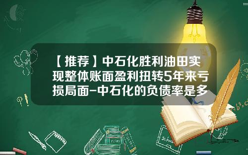 【推荐】中石化胜利油田实现整体账面盈利扭转5年来亏损局面-中石化的负债率是多少