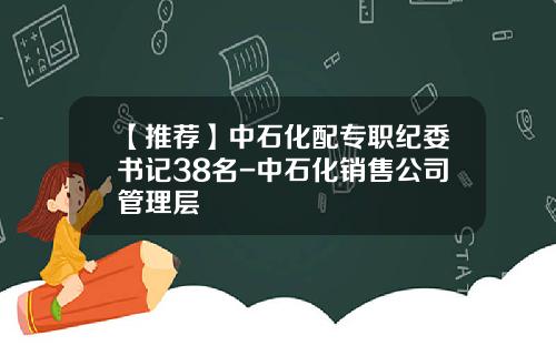 【推荐】中石化配专职纪委书记38名-中石化销售公司管理层