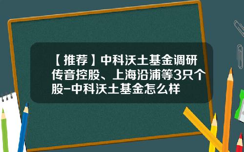 【推荐】中科沃土基金调研传音控股、上海沿浦等3只个股-中科沃土基金怎么样