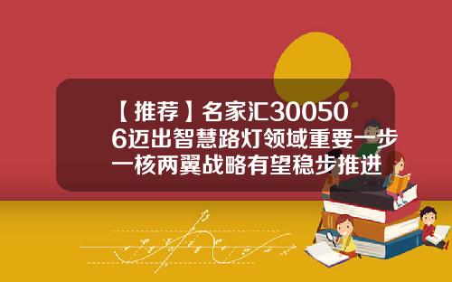 【推荐】名家汇300506迈出智慧路灯领域重要一步一核两翼战略有望稳步推进