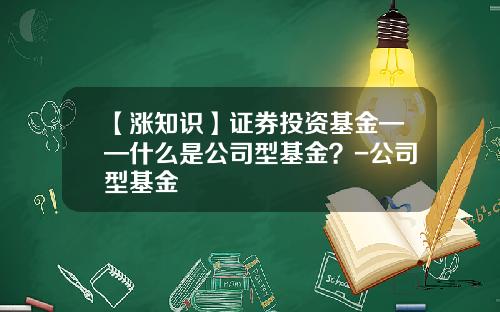 【涨知识】证券投资基金——什么是公司型基金？-公司型基金