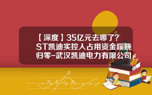 【深度】35亿元去哪了？ST凯迪实控人占用资金蹊跷归零-武汉凯迪电力有限公司好不好