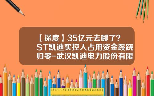 【深度】35亿元去哪了？ST凯迪实控人占用资金蹊跷归零-武汉凯迪电力股份有限公司湿法脱硫