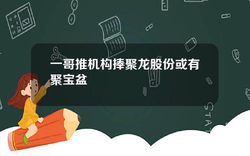 一哥推机构捧聚龙股份或有聚宝盆
