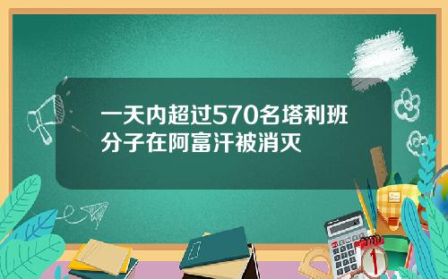 一天内超过570名塔利班分子在阿富汗被消灭