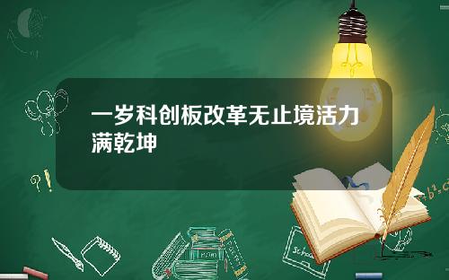 一岁科创板改革无止境活力满乾坤