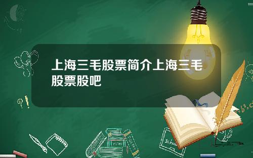 上海三毛股票简介上海三毛股票股吧