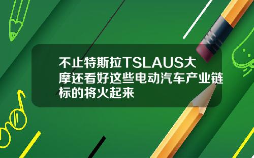 不止特斯拉TSLAUS大摩还看好这些电动汽车产业链标的将火起来