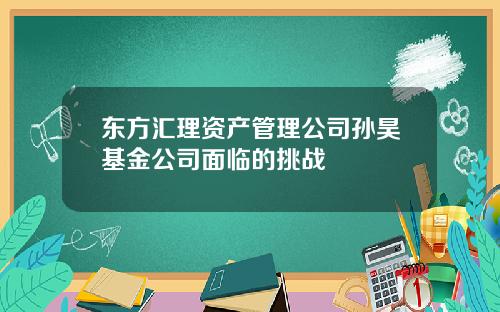 东方汇理资产管理公司孙昊基金公司面临的挑战