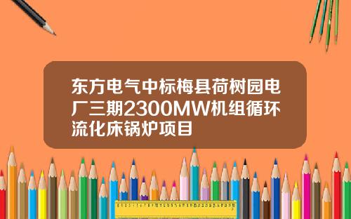 东方电气中标梅县荷树园电厂三期2300MW机组循环流化床锅炉项目