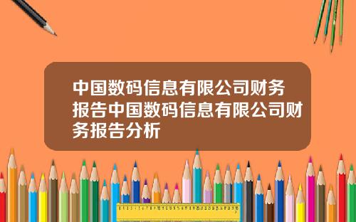 中国数码信息有限公司财务报告中国数码信息有限公司财务报告分析