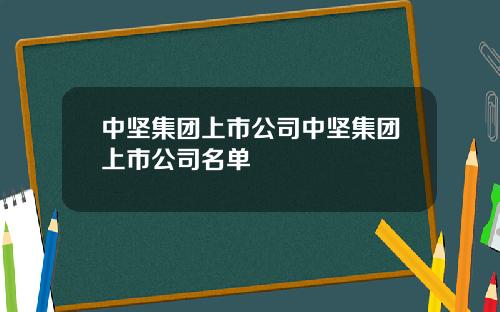 中坚集团上市公司中坚集团上市公司名单