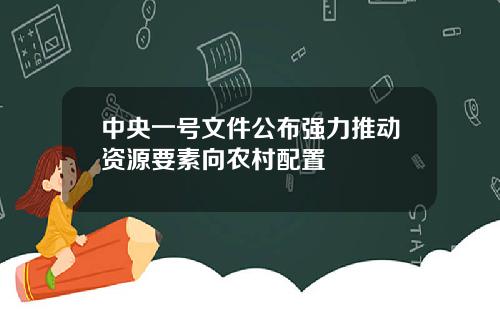 中央一号文件公布强力推动资源要素向农村配置