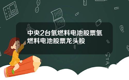 中央2台氢燃料电池股票氢燃料电池股票龙头股