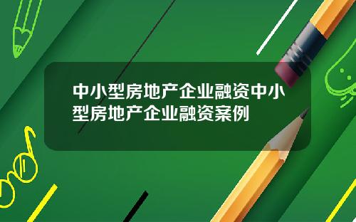 中小型房地产企业融资中小型房地产企业融资案例