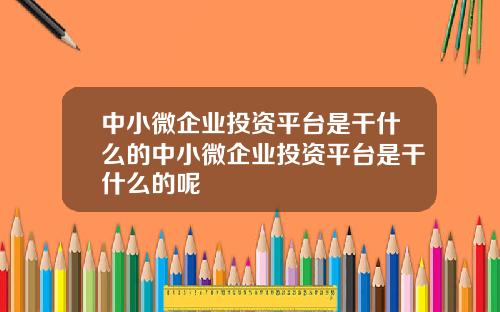 中小微企业投资平台是干什么的中小微企业投资平台是干什么的呢