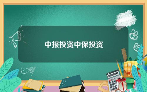 中报投资中保投资