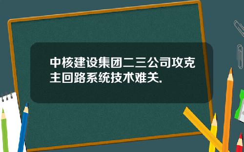 中核建设集团二三公司攻克主回路系统技术难关.