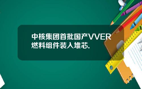 中核集团首批国产VVER燃料组件装入堆芯.