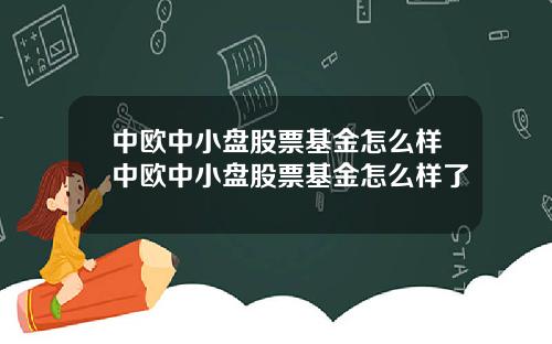 中欧中小盘股票基金怎么样中欧中小盘股票基金怎么样了