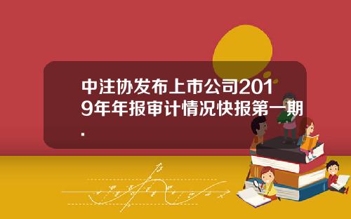 中注协发布上市公司2019年年报审计情况快报第一期.
