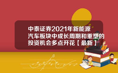 中泰证券2021年新能源汽车板块中成长周期和重塑的投资机会多点开花【最新】