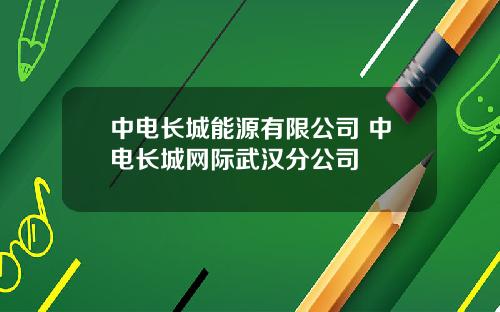 中电长城能源有限公司 中电长城网际武汉分公司