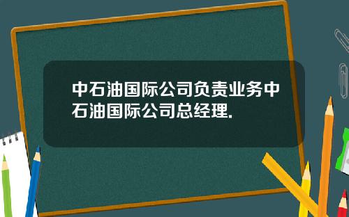 中石油国际公司负责业务中石油国际公司总经理.