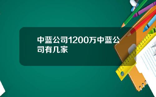 中蓝公司1200万中蓝公司有几家