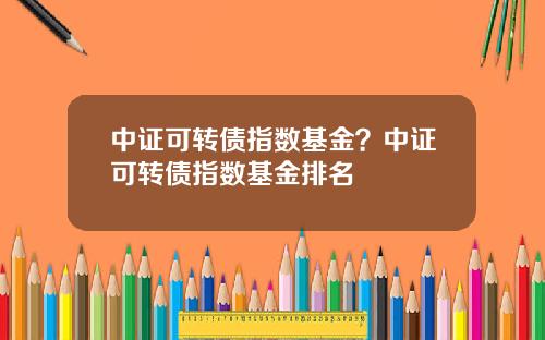中证可转债指数基金？中证可转债指数基金排名