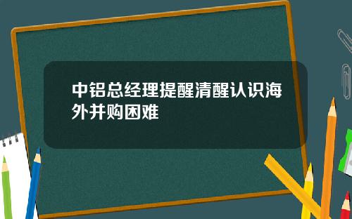 中铝总经理提醒清醒认识海外并购困难