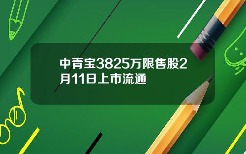 中青宝3825万限售股2月11日上市流通