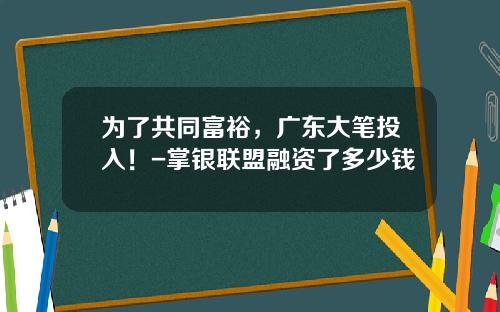为了共同富裕，广东大笔投入！-掌银联盟融资了多少钱