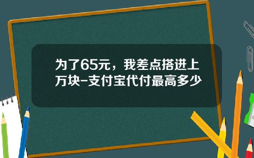 为了65元，我差点搭进上万块-支付宝代付最高多少