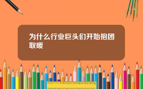 为什么行业巨头们开始抱团取暖
