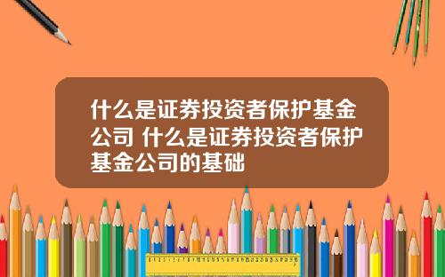 什么是证券投资者保护基金公司 什么是证券投资者保护基金公司的基础