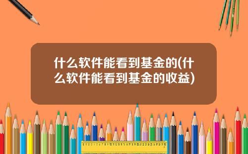 什么软件能看到基金的(什么软件能看到基金的收益)