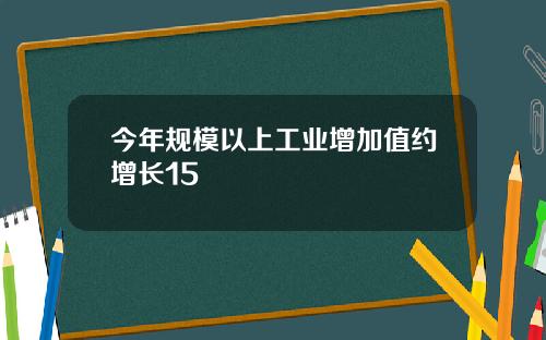 今年规模以上工业增加值约增长15