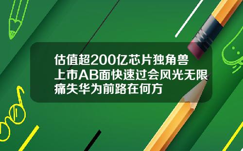 估值超200亿芯片独角兽上市AB面快速过会风光无限痛失华为前路在何方