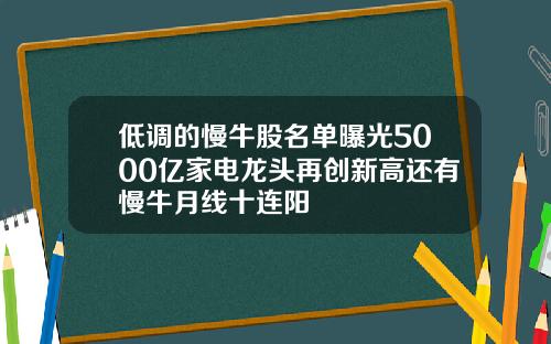低调的慢牛股名单曝光5000亿家电龙头再创新高还有慢牛月线十连阳