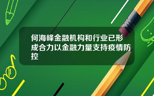 何海峰金融机构和行业已形成合力以金融力量支持疫情防控