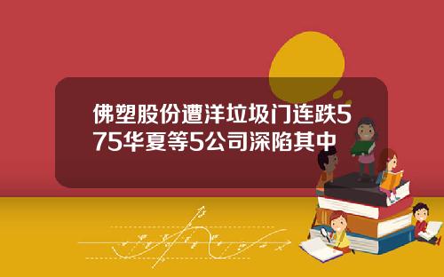 佛塑股份遭洋垃圾门连跌575华夏等5公司深陷其中