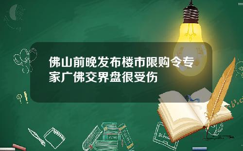 佛山前晚发布楼市限购令专家广佛交界盘很受伤