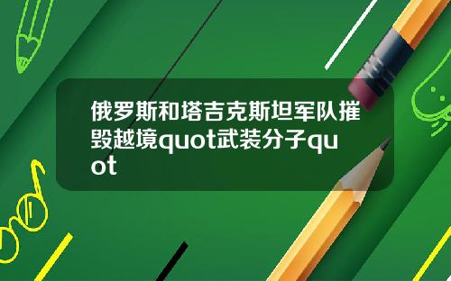 俄罗斯和塔吉克斯坦军队摧毁越境quot武装分子quot