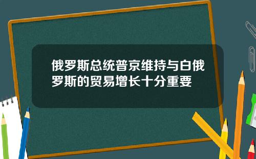 俄罗斯总统普京维持与白俄罗斯的贸易增长十分重要
