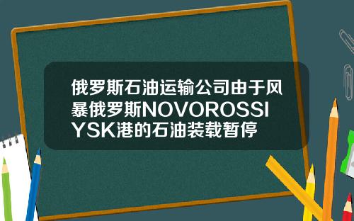 俄罗斯石油运输公司由于风暴俄罗斯NOVOROSSIYSK港的石油装载暂停